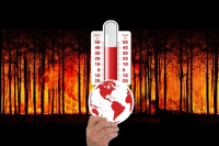 Léto je podle meteorologických modelů teplejší než obvykle. Červenec i srpen mohou přinést další vlny veder
